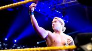 NXT 215 Photo 16