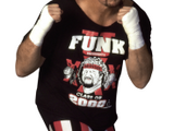 Terry Funk