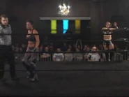 Shimmer 40.00051.jpg (34 KB)