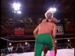 January 18 1993 Monday Night Raw Results Pro Wrestling Fandom