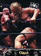 1998 WCW-nWo Nitro (Topps) Giant (No.7)