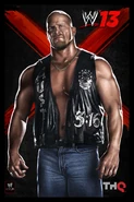 Steve Austin