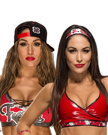 the bella twins toys