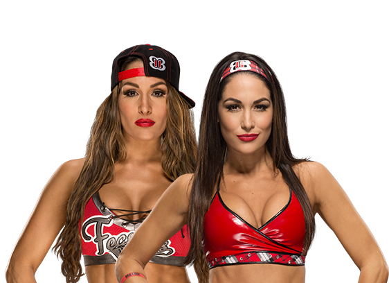 The Bella Twins, Natalya, Eva Marie and More WWE Wrestling Divas Real-Life  Style