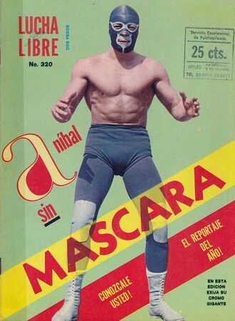 Vintage Lucha Libre  Wrestling posters, Mexican wrestler, Japanese  wrestling