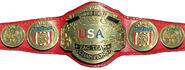 NWA United States Tag Team Titles (1986-1992)