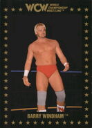 1991 WCW Collectible Trading Cards (Championship Marketing) Barry Windham (No.90)