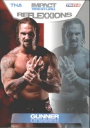 2012 TNA Impact Wrestling Reflexxions Trading Cards (Tristar) Gunner (No.34)