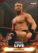2013 TNA Impact Wrestling Live Trading Cards (Tristar) Magnus (No.29)