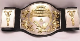 UWAWorldHeavyTitle