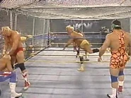 WrestleWar 1991.00045.jpg (28 KB)