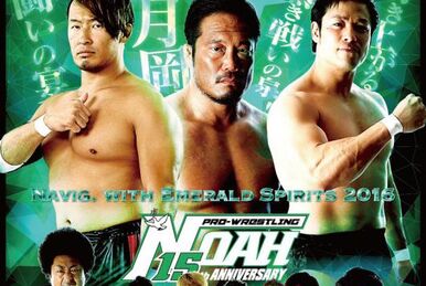 NOAH The First Navigation 2014 - Night 7 | Pro Wrestling