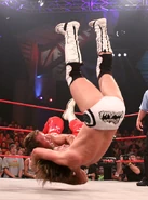 Slammiversary 2010 18.jpg (129 KB)