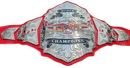 TNA World Tag Titles