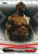 2019 WWE Raw Wrestling Cards (Topps) Titus O'Neil 71