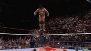 Greatest High Flyers 22.jpg (65 KB)