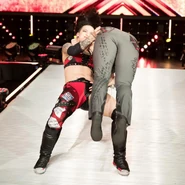 NXT 4-26-17 12.jpg (174 KB)