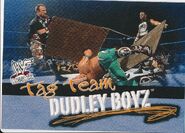 2001 WWF WrestleMania (Fleer) Dudley Boyz (No.73)