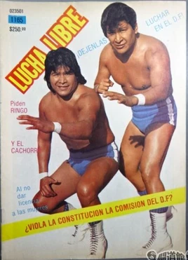 Lucha Libre 1165