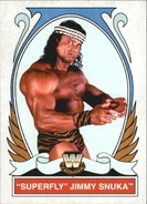 2008 WWE Heritage IV Trading Cards (Topps) Superfly Jimmy Snuka (No.82)