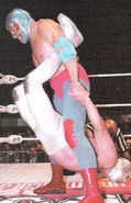 vs. Hijo del Santo