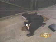 12-27-99 Nitro 10.jpg (8 KB)