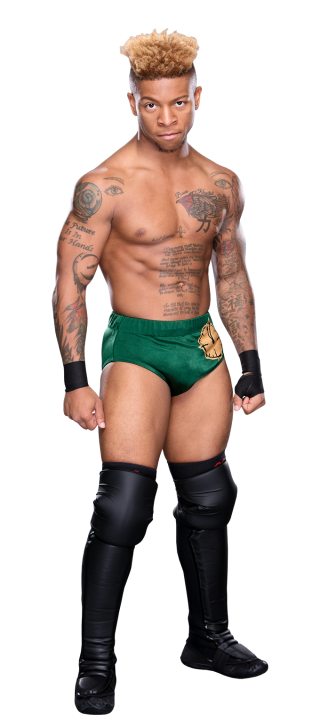 independence pro wrestling independence pro wrestling