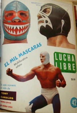 Lucha Libre 42