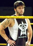 Michael Hayes (OVW)