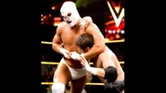 NXT 226 Photo 11.jpg (25 KB)