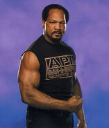 Ron Simmons (8)