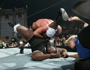 Royal Rumble 2006.29.jpg (37 KB)