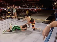 Wrestlewar 1991 8.jpg (71 KB)