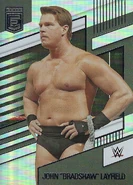 2022 WWE (Panini Chronicles) JBL (No.247)