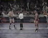 WWF The Wrestling Classic.00015