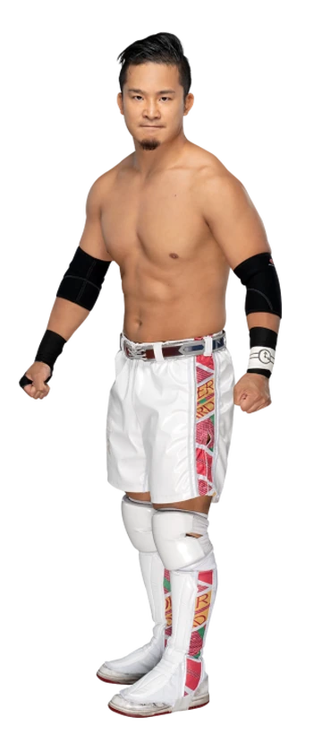 アメリカ　プロレス WWE Kushida Elite 楽天市場】WWE フィギュア アメリカ直輸入 人形 プロレス WWE