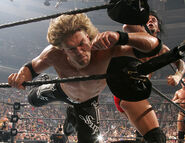 Survivor Series 2006.20