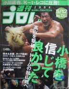 Weekly Pro Wrestling No. 1203 May 12, 2004