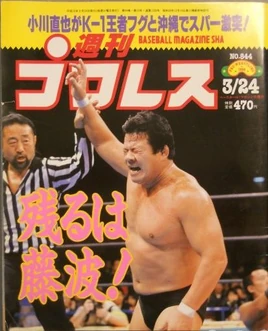 Weekly Pro Wrestling 844