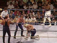 Wrestlewar 1991 3.jpg (102 KB)