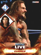 2013 TNA Impact Wrestling Live Trading Cards (Tristar) Gunner (No.73)