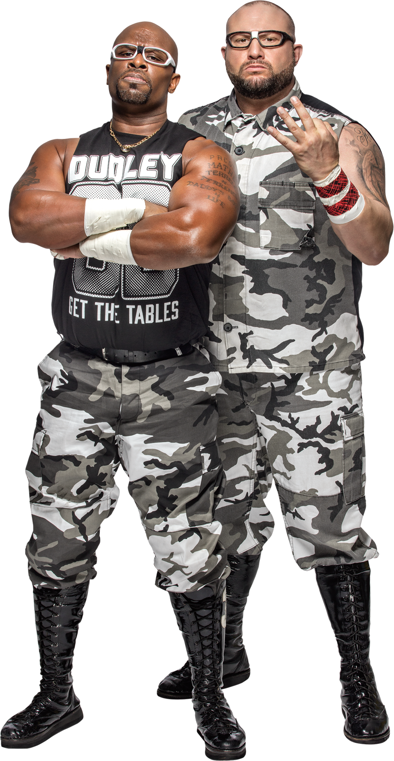 Dudley Boyz, Pro Wrestling