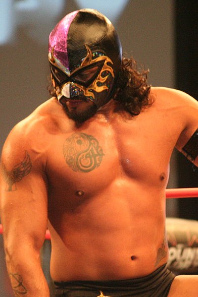 Lucha libre, Pro Wrestling Wiki