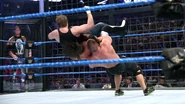 Elimination Chamber 2017.58.jpg (109 KB)