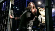 Elimination Chamber 2017.64.jpg (96 KB)