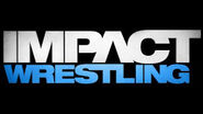 Impact Logo Ver 5.0