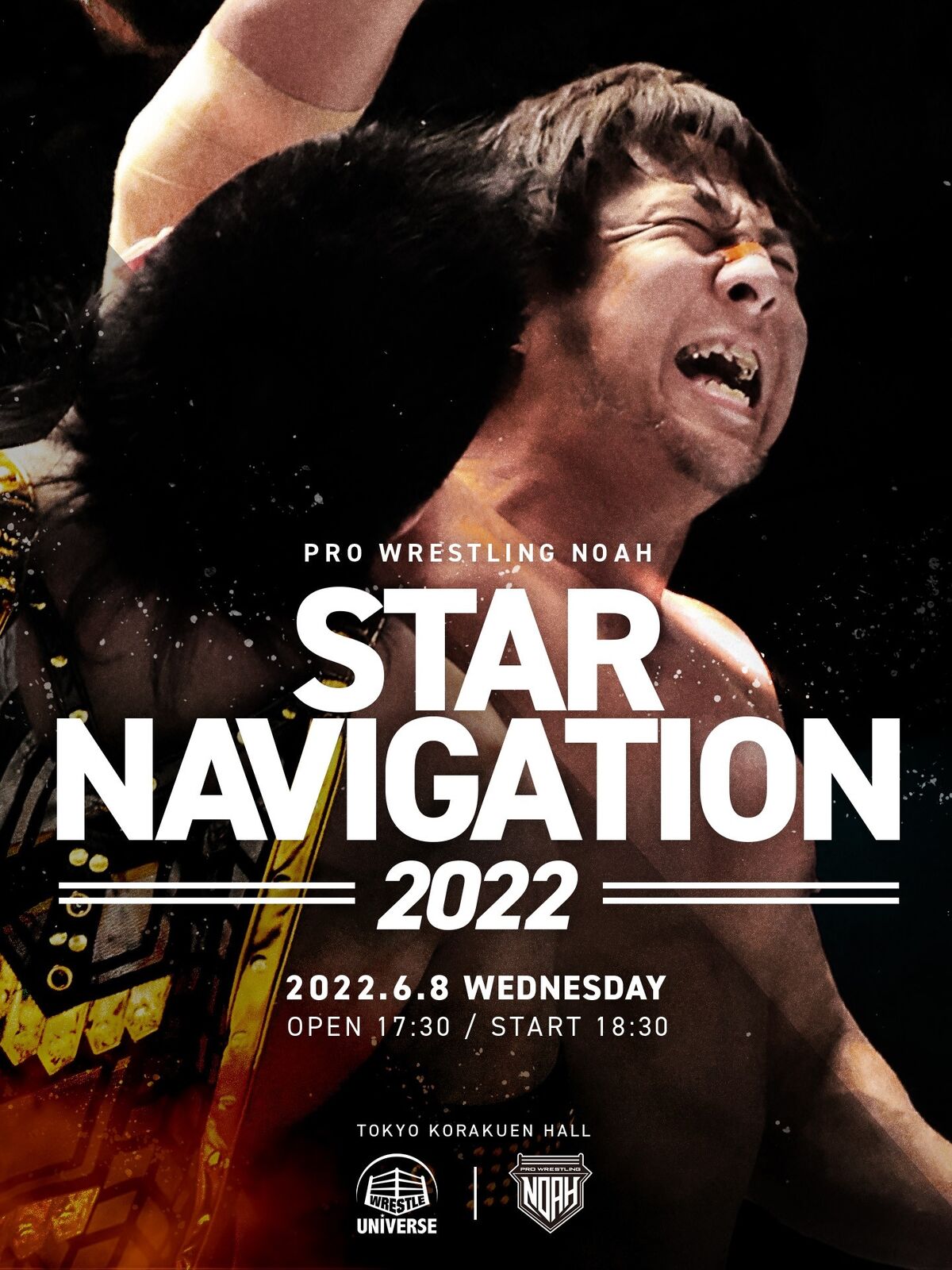 新製品情報も満載新製品情報も満載PRO-WRESTLING NOAH Navigation Over