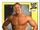 2008 WWE Heritage IV Trading Cards (Topps) Lance Cade (No.32)
