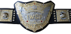 IWGP World Heavyweight Championship HD.png