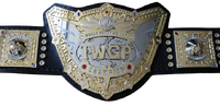 IWGP World Heavyweight Championship HD